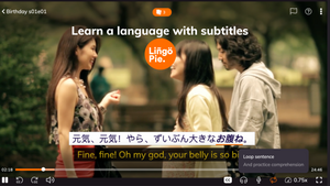 Learn a Language With Subtitles: A Comprehensive Guide for 2024